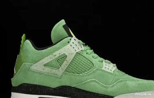 PE Jordan  Air  Oregon Duck Green 4 AJ4-904284 AJ4-904284 0704